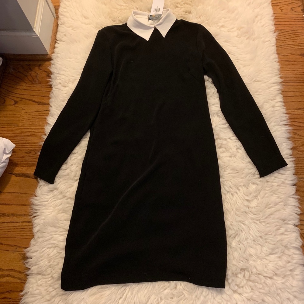LAUREN by Ralph Lauren LBD with removable collar